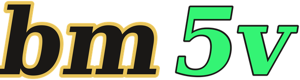 bm5v logo